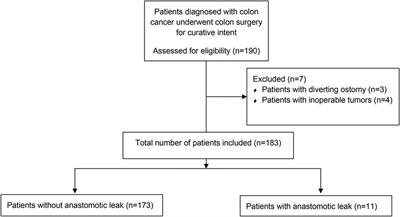 A novel scoring system for the early detection of anastomotic leakage: bedside leak score—a pilot study